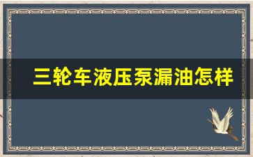 三轮车液压泵漏油怎样维修