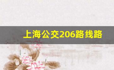 上海公交206路线路图,上海公交206路