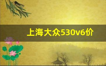 上海大众530v6价格多少钱,途昂530价格