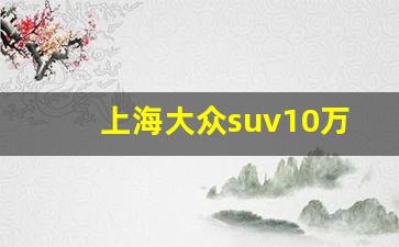 上海大众suv10万左右,大众小越野10万元