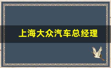 上海大众汽车总经理