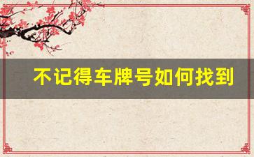 不记得车牌号如何找到出租车,有出租车车牌号怎么查车主电话