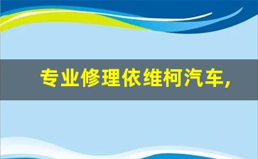 专业修理依维柯汽车,南京依维柯维修点联系方式