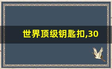 世界顶级钥匙扣,304纯不锈钢钥匙扣