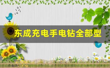 东成充电手电钻全部型号