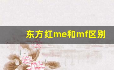 东方红me和mf区别在哪,东方红mf代表什么桥