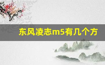 东风凌志m5有几个方