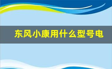 东风小康用什么型号电池,新能源车锂电池寿命