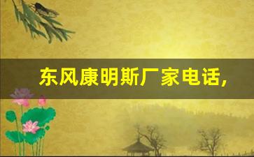 东风康明斯厂家电话,潍柴厂家电话号码