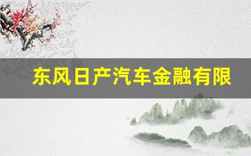 东风日产汽车金融有限公司,日产金融两年免息条件