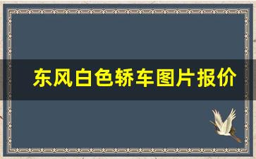 东风白色轿车图片报价