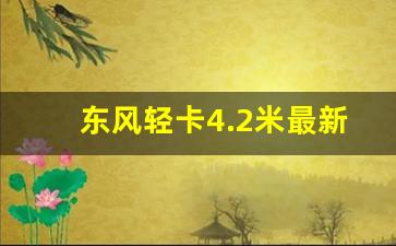 东风轻卡4.2米最新价格国六,东风4米2货车报价图片