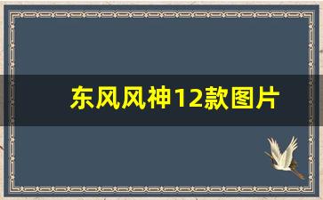 东风风神12款图片