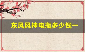 东风风神电瓶多少钱一个,东风风神H30电瓶多大的