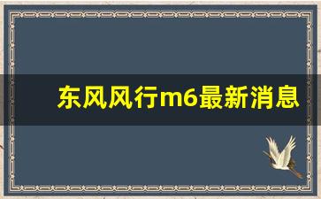 东风风行m6最新消息,风行m6时速90油耗多少