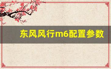 东风风行m6配置参数,东风风行m6最新消息