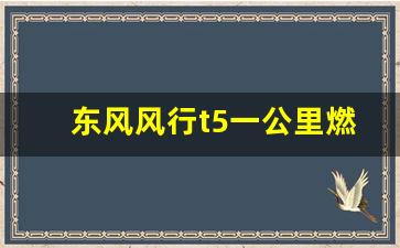 东风风行t5一公里燃油几毛钱