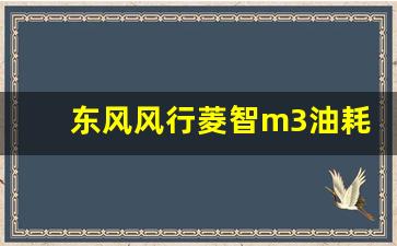 东风风行菱智m3油耗高不高