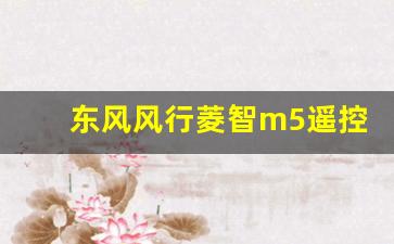 东风风行菱智m5遥控钥匙匹配方法,菱智m5按键功能图解