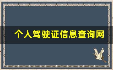 个人驾驶证信息查询网