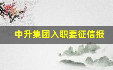 中升集团入职要征信报告干嘛