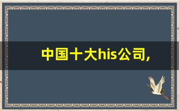 中国十大his公司,his厂家都有哪些