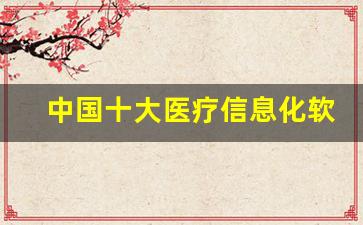 中国十大医疗信息化软件公司,软件公司有哪些