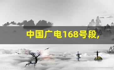 中国广电168号段,192选号靓号专区