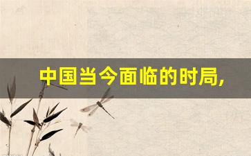 中国当今面临的时局,中国进入一级战备2023