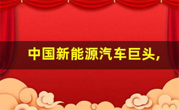 中国新能源汽车巨头,2023全球新能源车销量