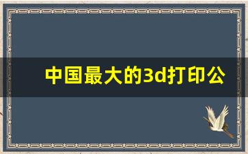 中国最大的3d打印公司,国内的3d打印工厂