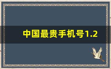 中国最贵手机号1.2亿