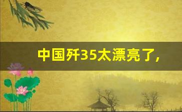 中国歼35太漂亮了,中国飞机轰炸缅北