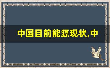 中国目前能源现状,中国目前的能源状况