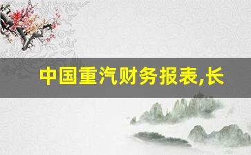 中国重汽财务报表,长安汽车近三年财务分析报告