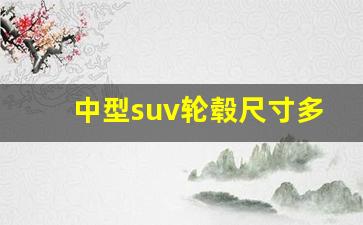 中型suv轮毂尺寸多大合适,SUV最佳扁平比