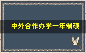 中外合作办学一年制硕士