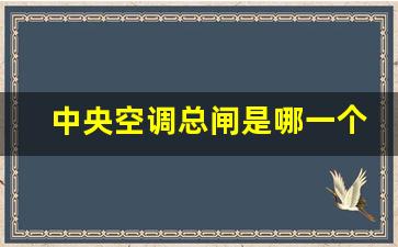 中央空调总闸是哪一个,家里的配电箱开关顺序