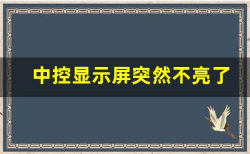 中控显示屏突然不亮了