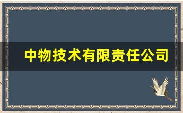 中物技术有限责任公司,证券公司排名