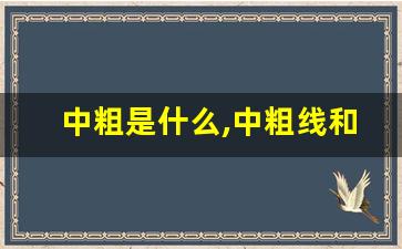 中粗是什么,中粗线和中线的区别