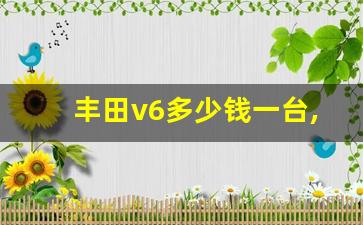 丰田v6多少钱一台,丰田后面有个v6是什么车