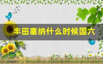 丰田塞纳什么时候国六,03年丰田塞纳是国几标准