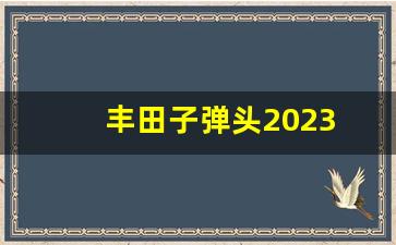 丰田子弹头2023