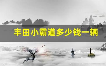 丰田小霸道多少钱一辆,丰田霸道2023款价格