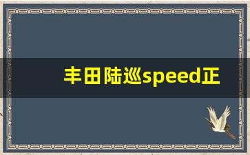 丰田陆巡speed正常位置,兰德酷路泽speed旋钮怎么用