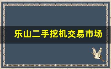 乐山二手挖机交易市场,铁甲二手挖掘机