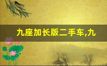 九座加长版二手车,九座二手车3万以下