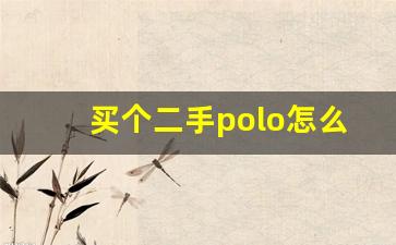 买个二手polo怎么样,2011年polo自动挡二手车价格