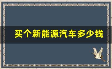 买个新能源汽车多少钱,新能源电动汽车一般多少钱